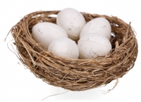 Gniazda z biaymi jajeczkami przepirczymi 2szt