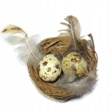 Gniazda z biaymi jajeczkami przepirczymi 1szt