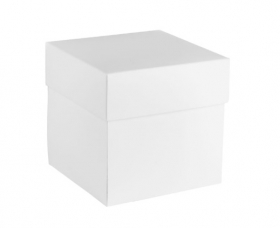 PUDEKO EXPLODING BOX - BIAE - 8x8x8