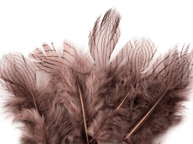 Baancie pira 5-11cm 10szt. rowy stary ciemny