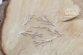 Spring Prodigy - Bare branches- nagie ga³êzie