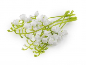 Gałązka sztuczna konwalia 5szt.