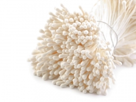 Pr�ciki p�askie do kwiat�w 6 cm matowe kremowy