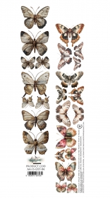 In silence W ciszy 5x30cm AA-IS-EXT-04 PASEK 04