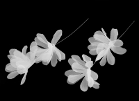 Kwiaty monofilowe na yce nylonowej d.16 cm 3szt