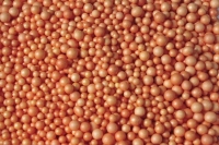 Kuleczki styropianowe 6g mix pomaraczowe