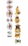Memoris of spring - pasek z dodatkami 06