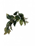 Listki - rowe SKF13-1