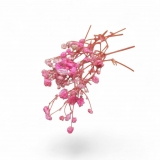 SUSZ suszona stabilizowana gipswka rowa