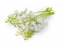 Ga��zka sztuczna konwalia 5szt.