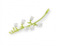 Gałązka sztuczna konwalia 5szt.