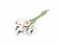 Kalia piankowa bia�a 6szt.