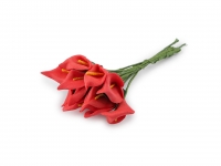 Kalia piankowa czerwona 6szt.