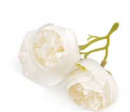 Kwiat materia�owy jaskier peonie 3,5 3szt. KREMOWE