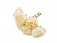 Kwiat materia�owy jaskier peonie 3,5 3szt. KREMOWE