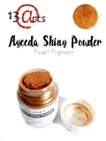 Shiny Powder 22ml (Pigment perowy) brz
