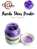 Shiny Powder 22ml (Pigment per³owy) Violet