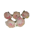 Kwiaty Peoni pene 4cm 5szt. kremowo- rowe