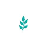 Listki 5