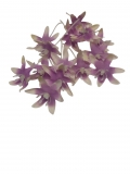 Kwiaty materiaowe fioletowo- biae 14szt.