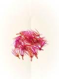 Prciki- rodki mini do kwiatw fioletowe 30szt.
