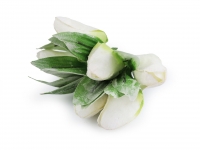 Kwiaty materiaowe tulipany 3szt. vintage biae