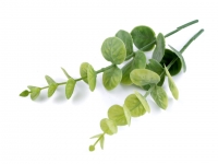 Listki eukaliptusa 2szt. zielono-be¿owy